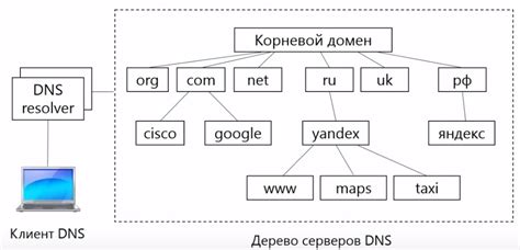 Как узнать домен компьютера на MacOS