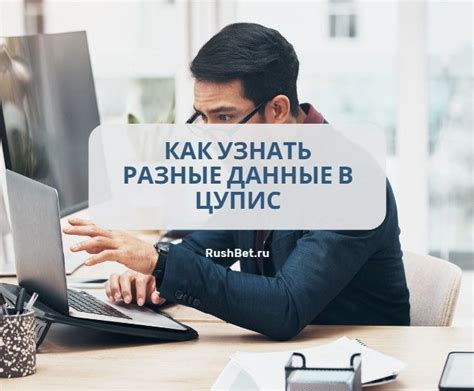 Как узнать минус через ЦУПИС: выбор метода