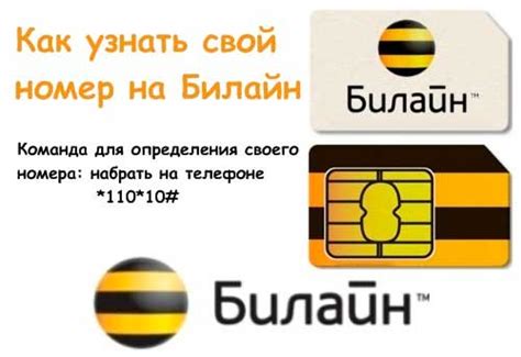 Как узнать номер Билайн по ФИО или паспорту