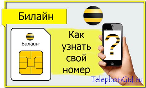 Как узнать номер в Билайн при выключенном телефоне