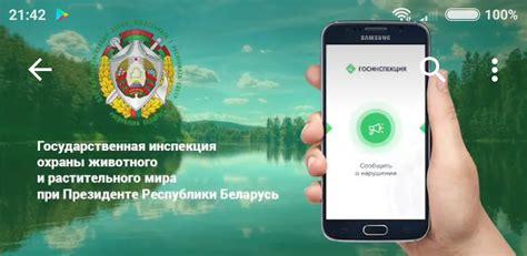 Как установить и использовать мобильное приложение для проверки срока действия