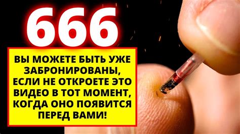 Как фанаты были обмануты названием Бэби Йоду