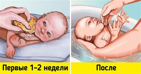 Как часто нужно очищать ротик малыша