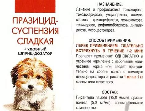 Как эффективно глистогонить щенка