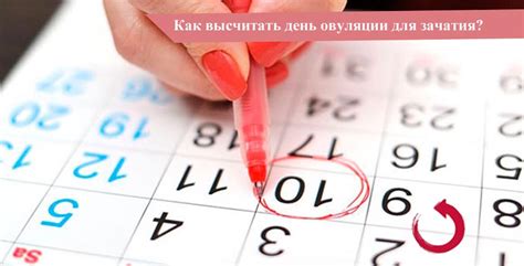 Как эффективно использовать день овуляции для зачатия