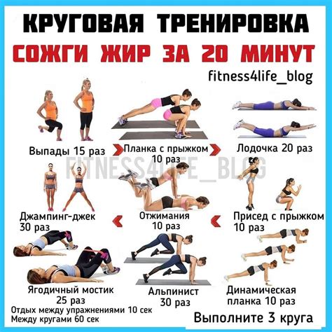 Кардиотренировки для сжигания жира на боках