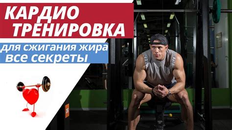 Кардио-тренировки для снижения жира на бедрах