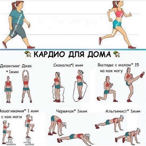 Кардио-тренировки для эффективного жиросжигания