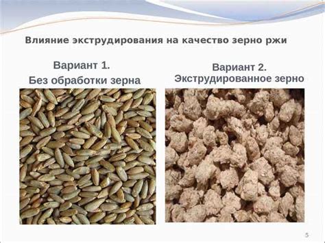 Качество и сохранность корма в арке