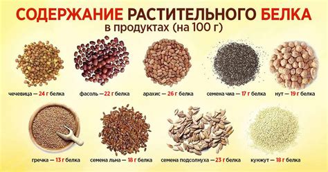 Квинксы как незаменимый растительный источник белка