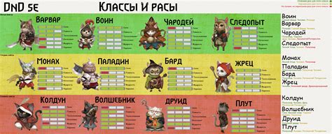 Класс брони в DnD: обзор основной информации и навыков
