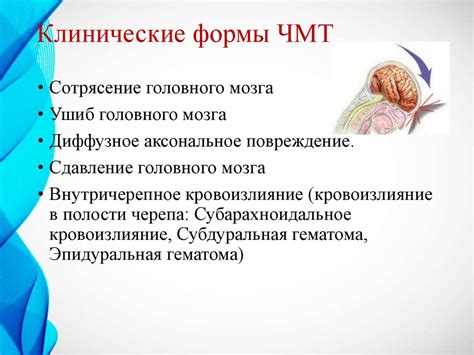 Клинические методы определения ЧМТ у стрижа