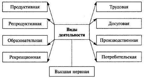Ключевые виды деятельности