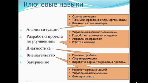 Ключевые навыки и качества, необходимые для работы блошиного адвоката