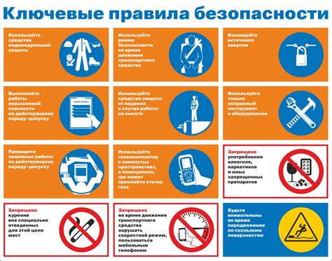 Ключевые правила тренировки собаки в стиле твистинг