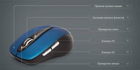Кнопки мыши и их назначение