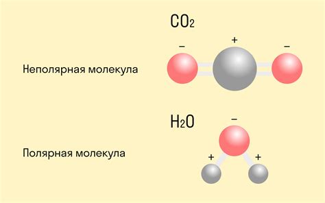 Ковалентная полярная связь: основные принципы и примеры