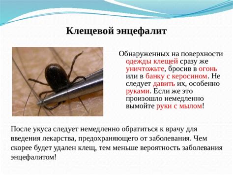 Кому следует обратиться при подозрении на клещ энцефалит