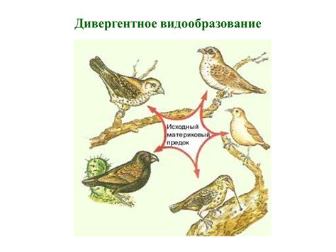 Конкуренция существующих видов