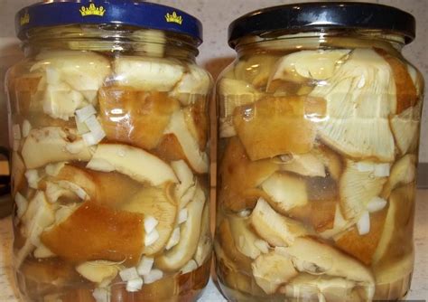 Консервирование лисичек в банках