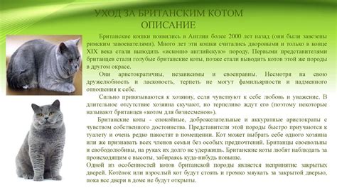 Контроль за питанием и уходом за домашними животными