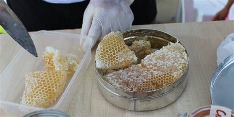 Корректные принципы употребления меда в сотах