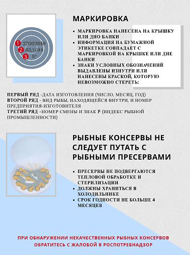 Корректный выбор консервов: рекомендации специалистов