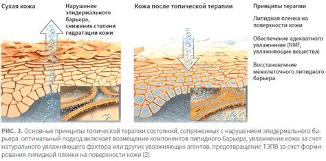 Косметические средства для укрепления кожи