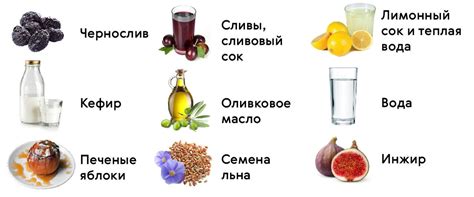 Коты и естественные слабительные: какие продукты помогут регулировать пищеварение