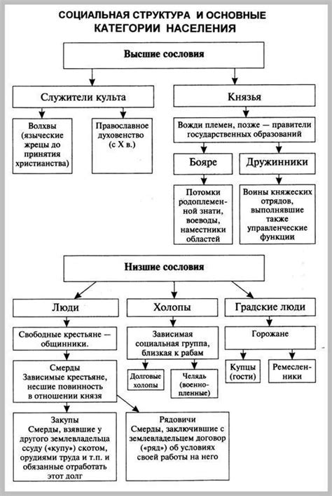 Коты и иерархия: их стремление занять высокое положение