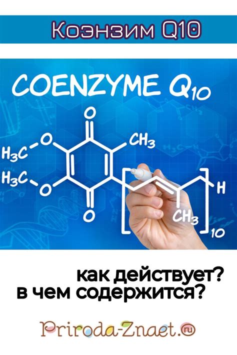 Коэнзим Q10 и его влияние на уровень энергии