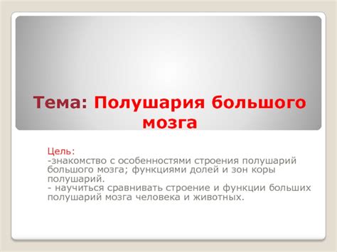Краткое знакомство с функциями и возможностями