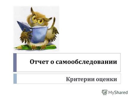 Критерии оценки информации о самозанятости