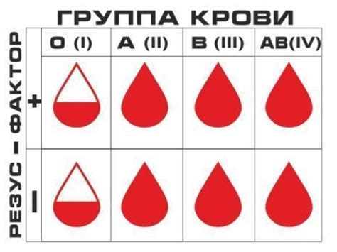 Кровь: важное здоровье