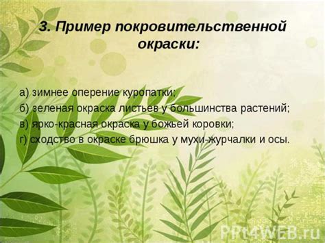 Кровь без ядра: причины и физиологические адаптации