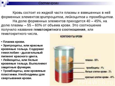 Кровь как жизненно важная жидкость