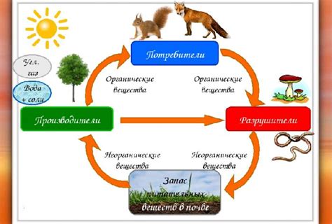 Круговорот жизни в природе и человеческом мире