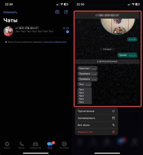 Круг в Telegram на iPhone