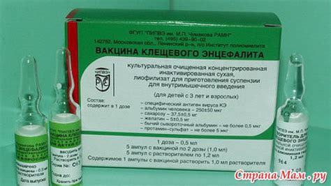 Кто должен получать прививку от клещевого энцефалита: возрастные и групповые особенности