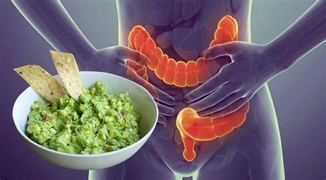 Куинксы и их способность улучшать работу желудочно-кишечного тракта