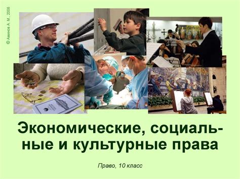 Культурные и социальные аспекты отсутствия страха