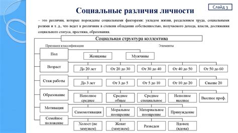 Культурные и социальные различия