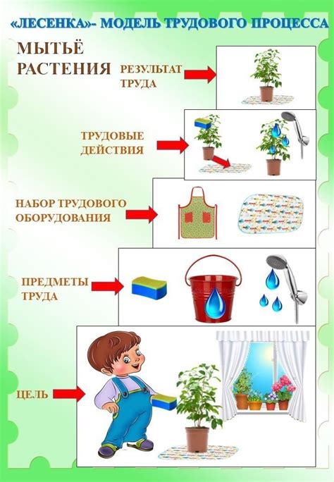 Легкость ухода за споровыми растениями