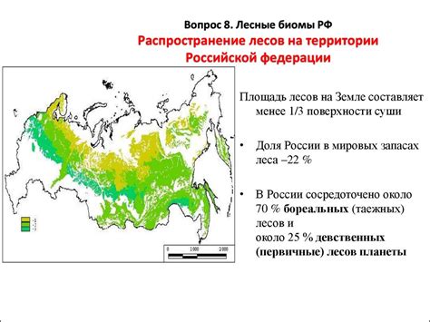 Лесные биомы зимой: изменения ландшафта и мобов