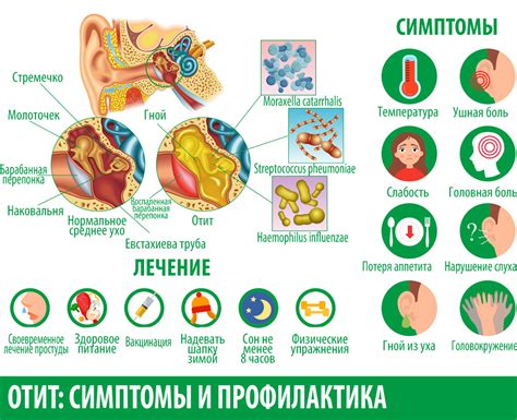 Лечение и профилактика хламидий у ребенка