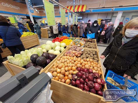 Лицензирование и разрешения для вывоза ракушек