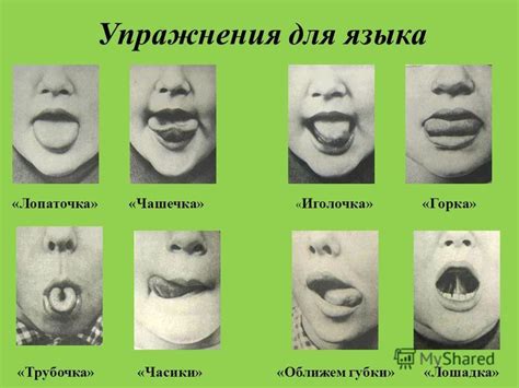 Логопедические упражнения для губ и языка