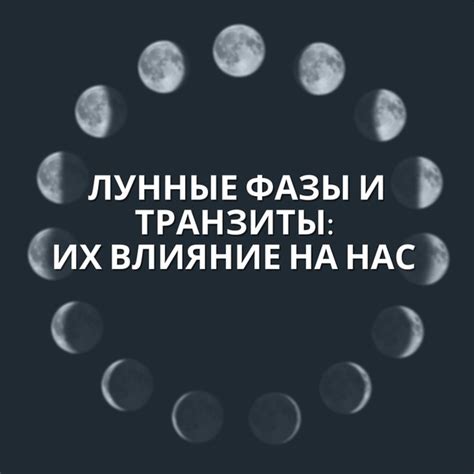 Лунные фазы и их влияние на сбор грибов