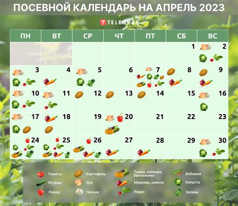 Лунный календарь в огородничестве