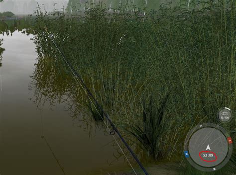 Лучшие места для ловли рыбы в игре Раст